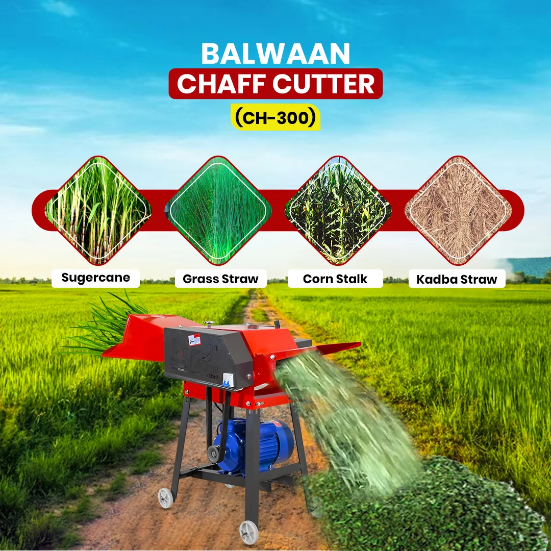 Balwaan-chaff-cutter-with-gear & motor-ch-300-3